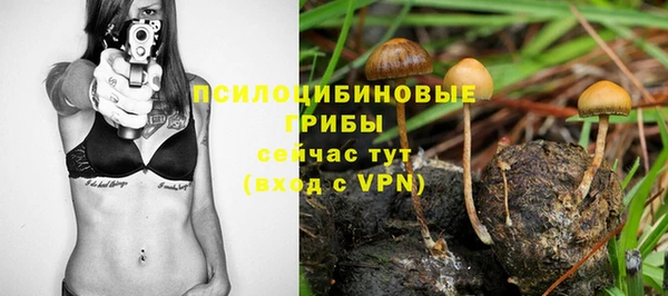 дживик Балабаново